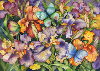 McKenna Design