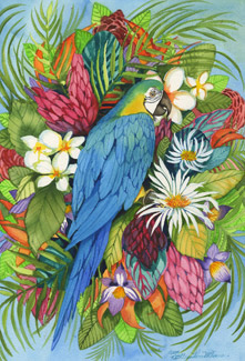 McKenna Design