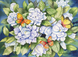 McKenna Design