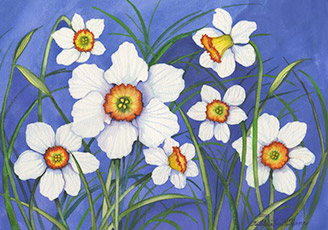 McKenna Design
