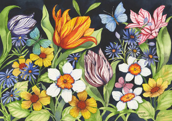 McKenna Design